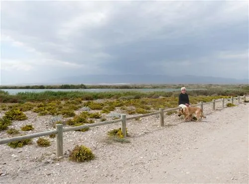 camping-cabo-de-gata-almera-enoqp