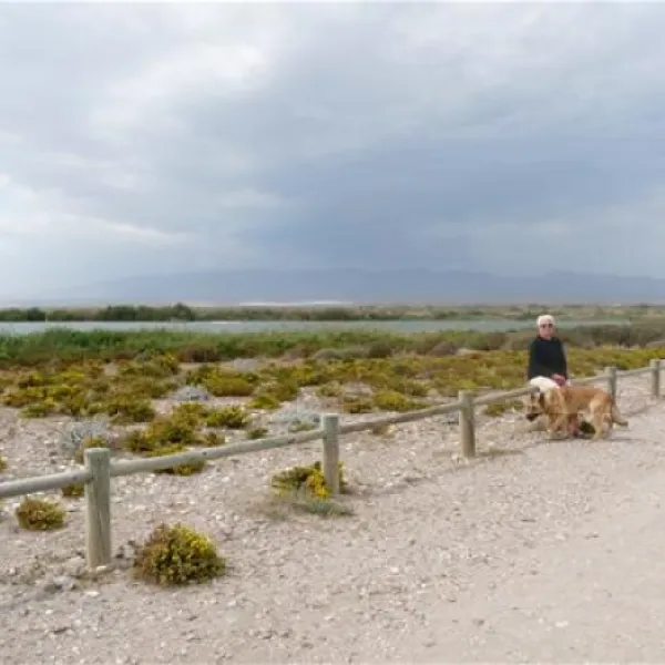camping-cabo-de-gata-almera-enoqp