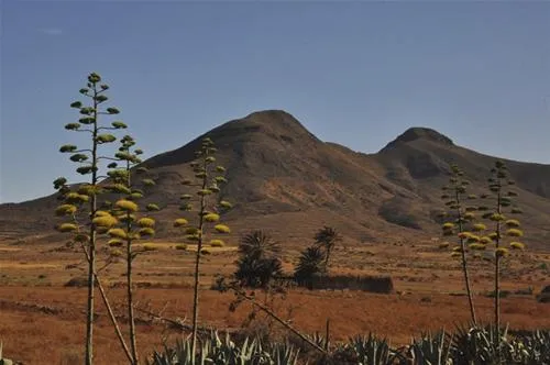 camping-cabo-de-gata-almera-szvh3