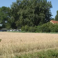 camping-cassandria-bad-retranchement-filgl
