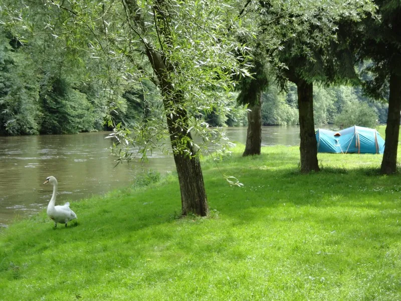 camping-ile-de-faigneul-poupehanbouillon-n2e6n