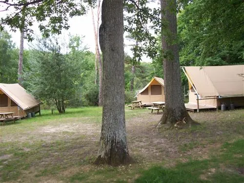 huttopia-rambouillet-rambouillet-2510b