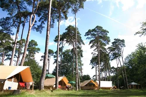 huttopia-rambouillet-rambouillet-ckl2t