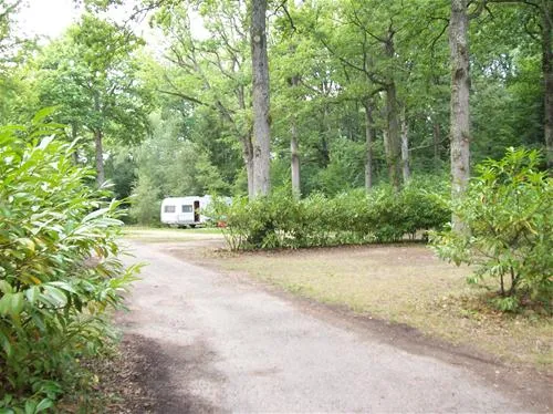 huttopia-rambouillet-rambouillet-vlniu