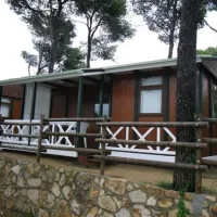 camping-cala-gogo-calonge-vgtsg