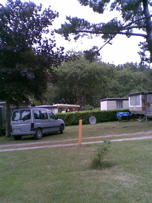 flower-camping-le-kergariou-clohars-carnot-9xyjk