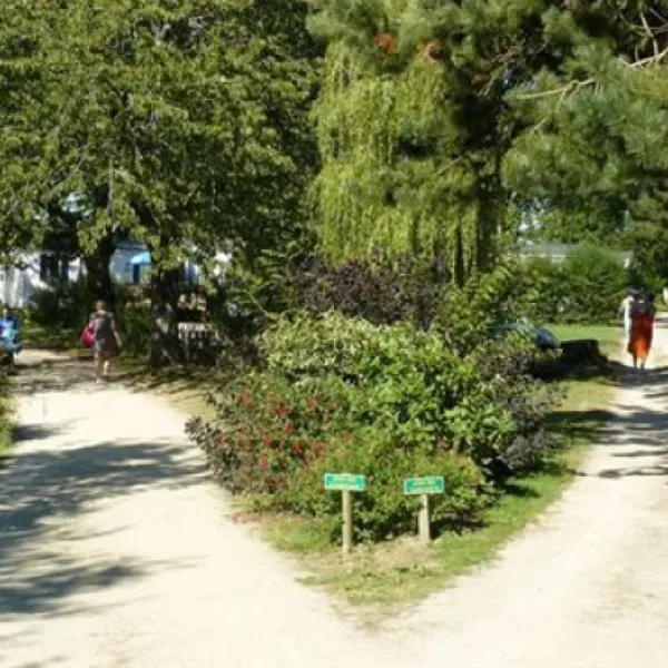 flower-camping-le-kergariou-clohars-carnot-lgzzc