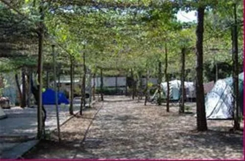 campeggio-la-pantera-rosa-scalea-centro-hhniw