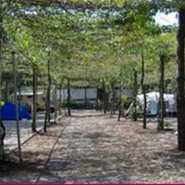 campeggio-la-pantera-rosa-scalea-centro-hhniw