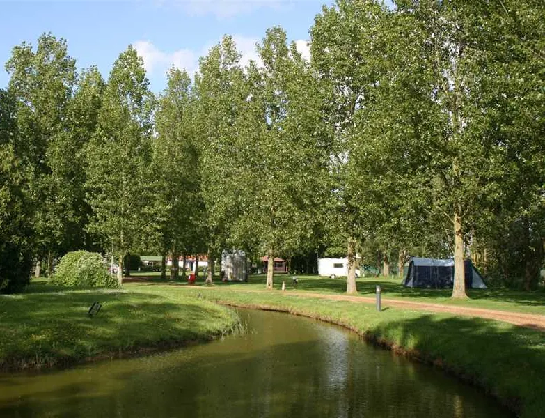 reedham-ferry-touring-and-camping-park-norwich-5fjzb