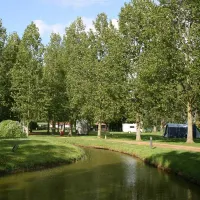 Reedham Ferry Complex