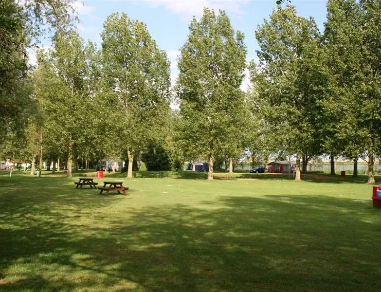 reedham-ferry-touring-and-camping-park-norwich-iv159