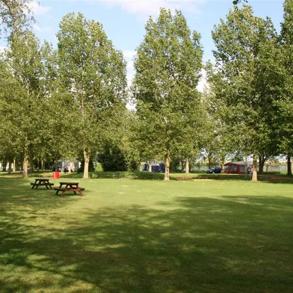 reedham-ferry-touring-and-camping-park-norwich-iv159
