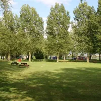 reedham-ferry-touring-and-camping-park-norwich-iv159