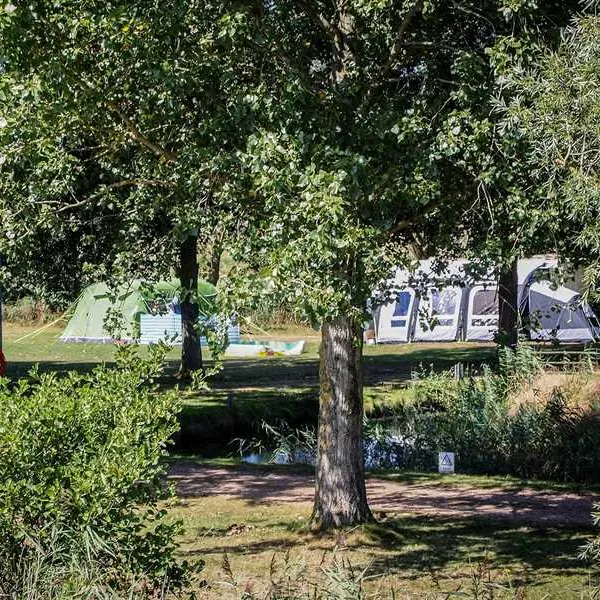 reedham-ferry-touring-and-camping-park-norwich-nmwra