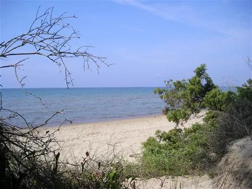 campeggio-riva-dei-butteri-follonica-e5xnf