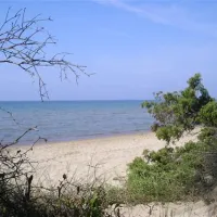 campeggio-riva-dei-butteri-follonica-e5xnf