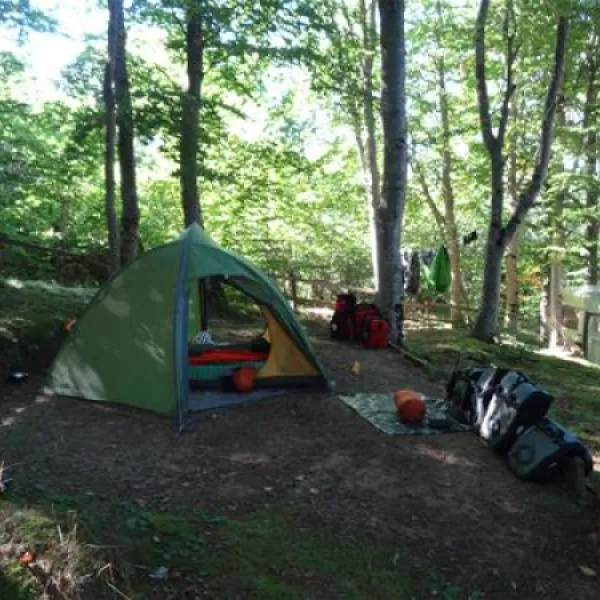 camping-le-bosquet-querigut-phsbk