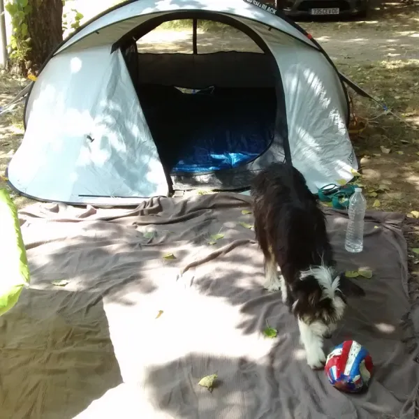 camping-municipal-du-soleil-la-rochelle-xevgk