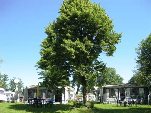 camping-halbinsel-burg-seehausen-a-staffelsee-77ba7