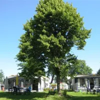 camping-halbinsel-burg-seehausen-a-staffelsee-77ba7