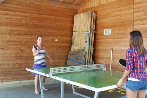 camping-halbinsel-burg-seehausen-a-staffelsee-ijefm