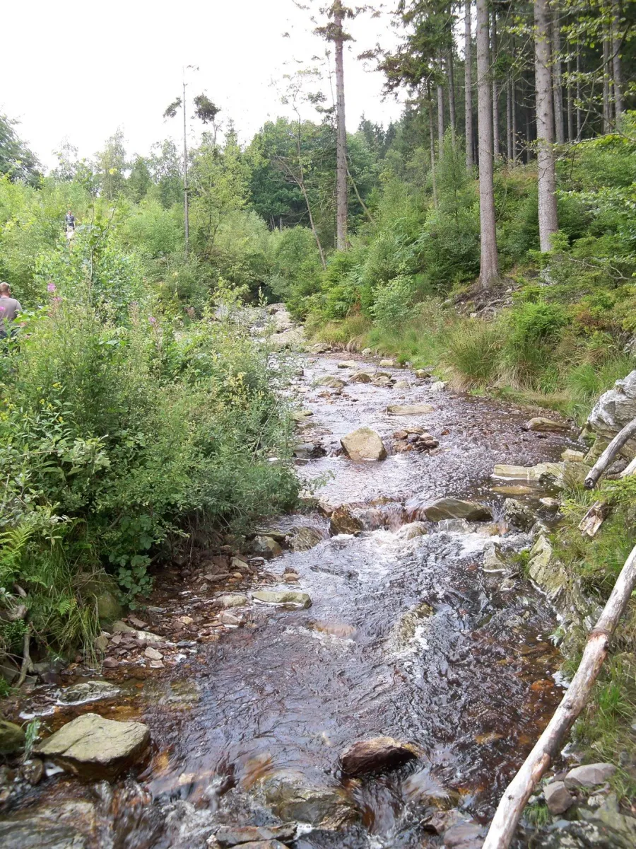 camping-bleialf-bleialf-qcayv