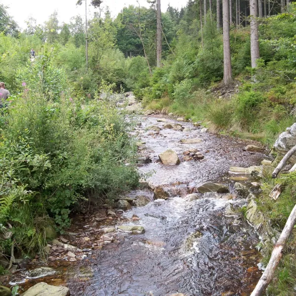 camping-bleialf-bleialf-qcayv