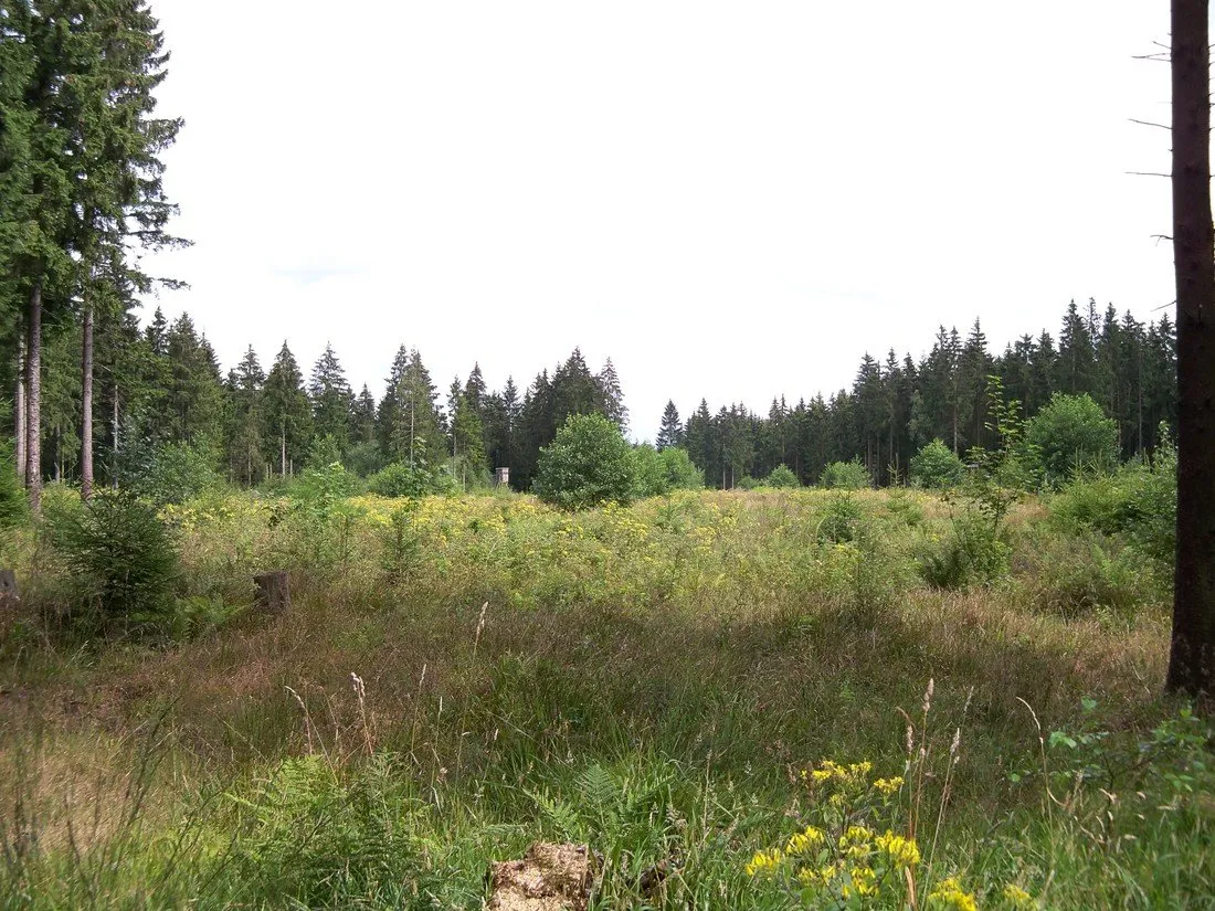camping-bleialf-bleialf-uyzr3