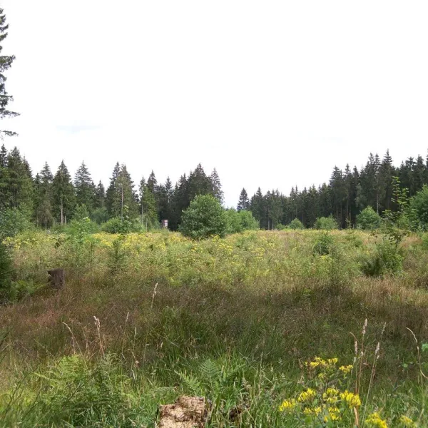 camping-bleialf-bleialf-uyzr3