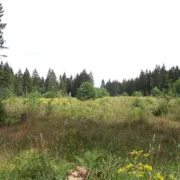 camping-bleialf-bleialf-uyzr3