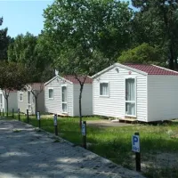 parque-de-campismo-orbitur-caminha-caminha-drbp3