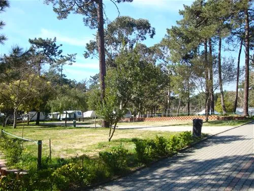 parque-de-campismo-orbitur-caminha-caminha-niavl