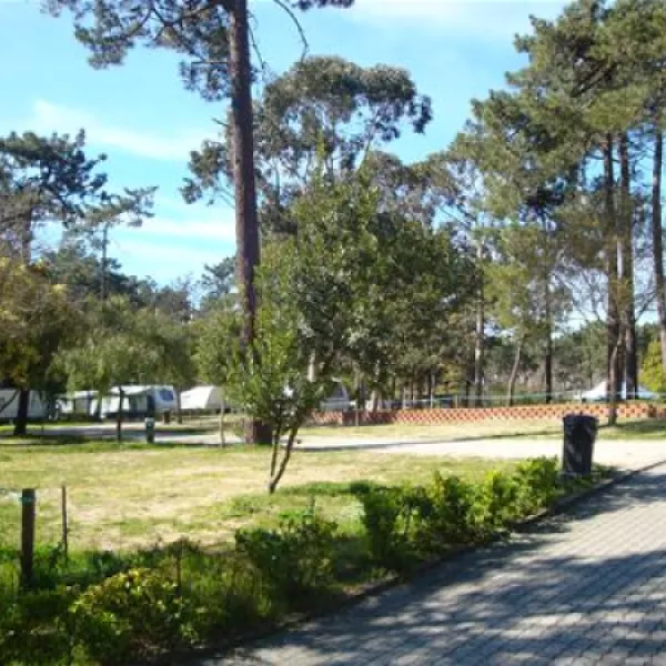 parque-de-campismo-orbitur-caminha-caminha-niavl