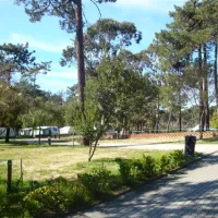 parque-de-campismo-orbitur-caminha-caminha-niavl