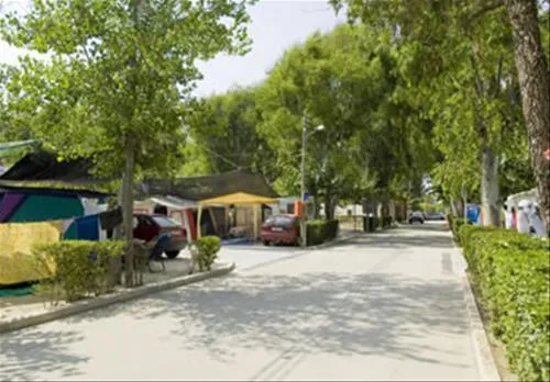 eurocamping-oliva-avp4v