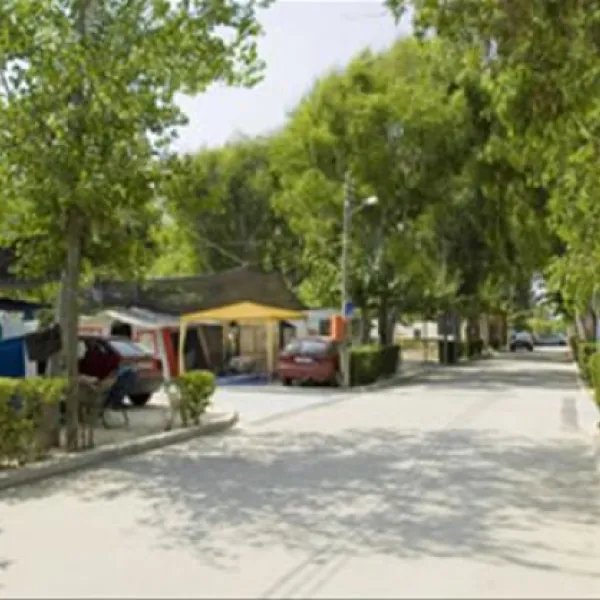 eurocamping-oliva-avp4v