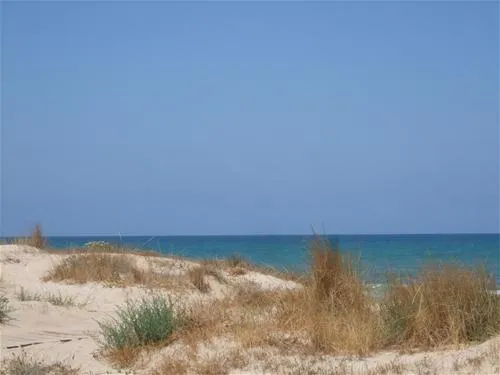 eurocamping-oliva-pbfm1