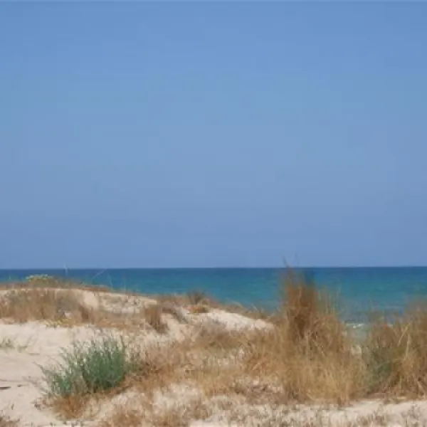 eurocamping-oliva-pbfm1