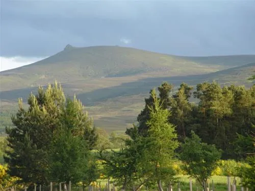 feughside-caravan-park-banchory-honct