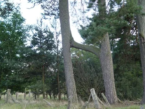 feughside-caravan-park-banchory-lh5qk
