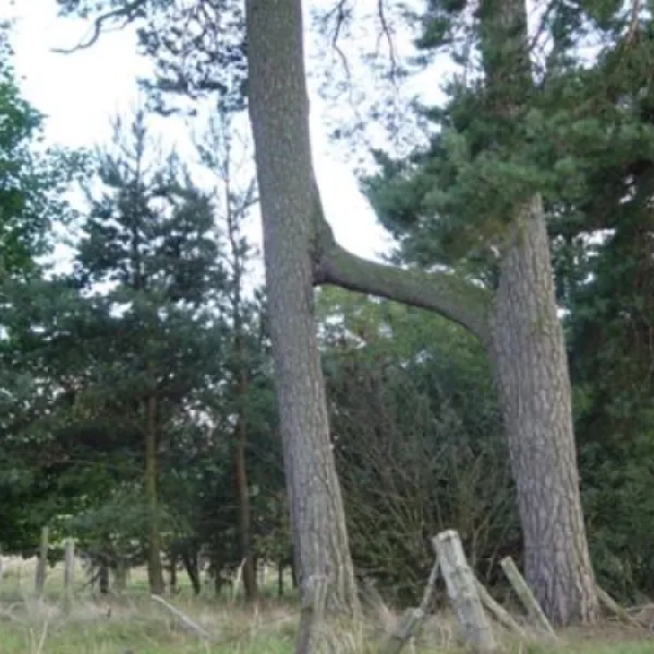 feughside-caravan-park-banchory-lh5qk