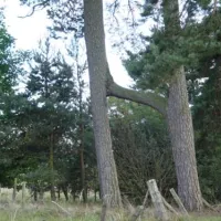feughside-caravan-park-banchory-lh5qk