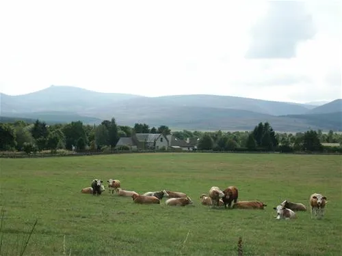feughside-caravan-park-banchory-rl9et