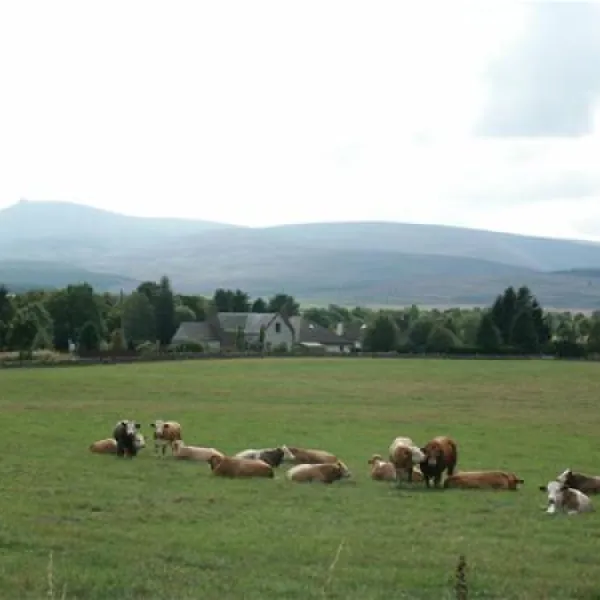 feughside-caravan-park-banchory-rl9et