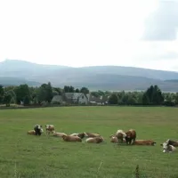 feughside-caravan-park-banchory-rl9et