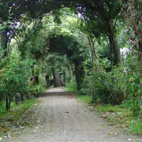 camping-pergama-landjuweel-haaren-1qgnr