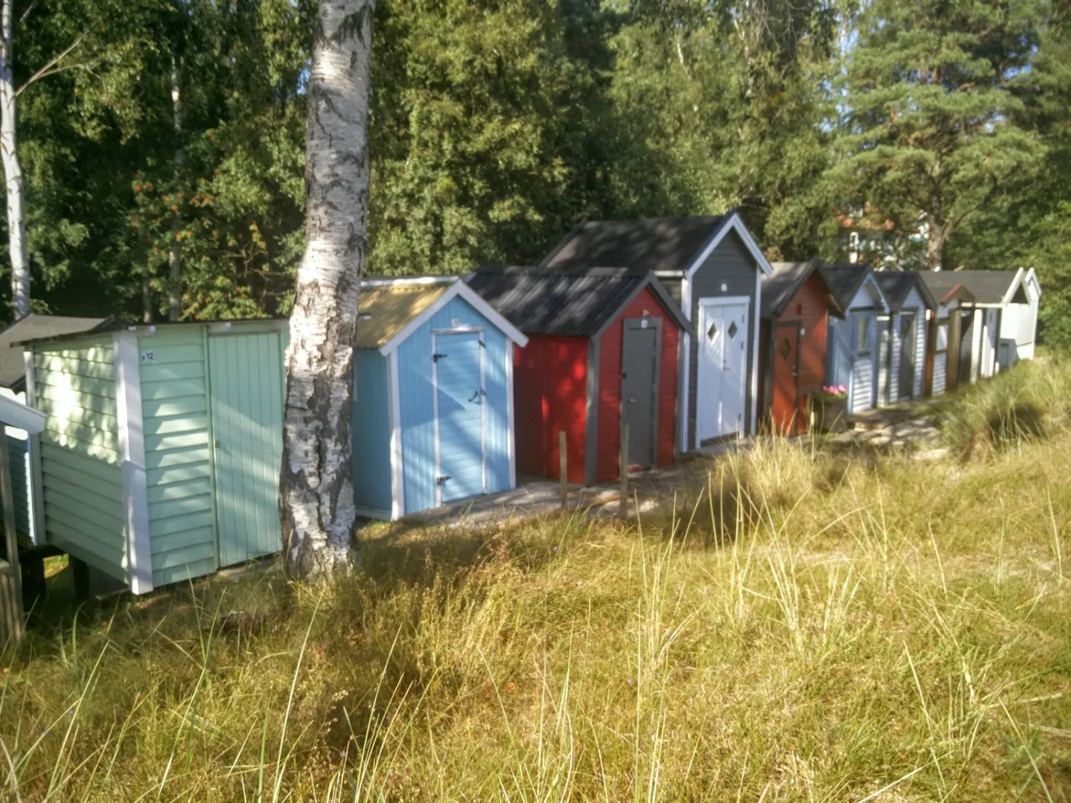 sandskogens-camping-ystad-3z32p