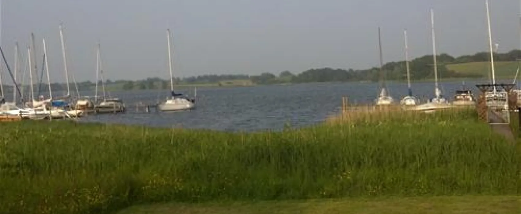 Camping Wees