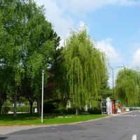 camping-municipal-chlonsenchampagne-lotc5